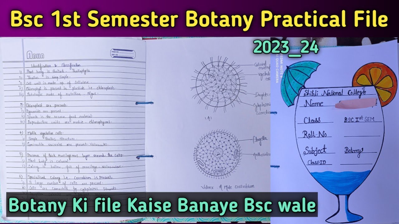 Bsc 1st Semester Botany Practical File 📂 Botany Ki File Kaise Banaye ...