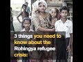 3 things you need to know about the Rohingya refugee crisis