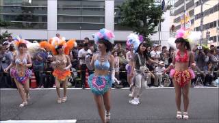 神戸祭り2015「サンバストリート」神戸サンバチーム