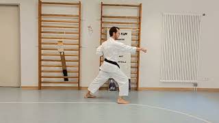 sanbon zuki (jodan/chudan/chudan) zenkutsu dachi shotokan karate