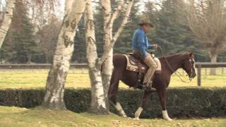 Ask Monty: Why is my horse aggressive at feeding time?