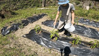 Old Japanese house countryside living