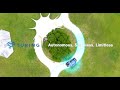 Autonomous, Seamless, Limitless: Turing Drive’s Automated Driving Solutions