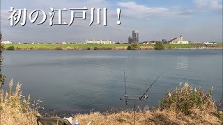 江戸川チャレンジ！鯉釣りならず［12月］