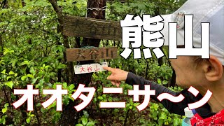 【低山登山】川みたいな小雨の熊山登山道