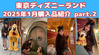 東京ディズニーランド　2025年1月　購入品紹介紹介パート2