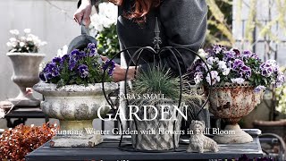 Stunning Winter Garden with Flowers in Full Bloom