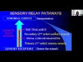 sensory systems part 1 general sensations olfaction gustation and concepts of tractology