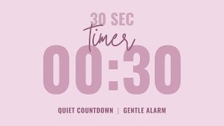 ⌛ 30 Second Quiet Countdown Timer ⏰ Gentle Alarm 💗 Aesthetic Pastel Pink