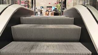 Estonia, Tallinn, Kaubamaja shopping mall, 2X escalator