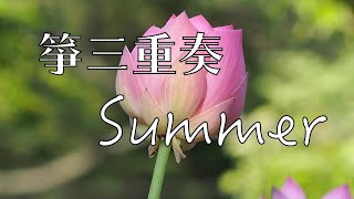 箏三重奏「Summer」