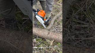 Бензопила STIHL в роботі