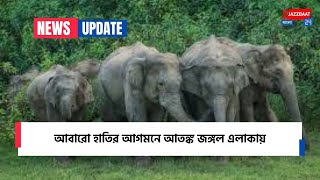 আবারো হাতির আগমনে আতঙ্ক জঙ্গল এলাকায়