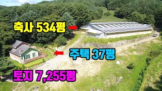 [축사매매] 강원도 횡성 / 토지 23,985㎡(7,255평) / 120두 축사 534평 + 철근콘크리트 주택 37평 포함 / 축사 급매물 / 매매 11억 / (7971)