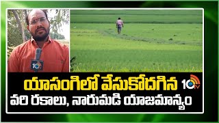 Yasangi paddy Cultivation | యాసంగిలో వేసుకోదగిన వరి రకాలు, నారుమడి యాజమాన్యం  | Matti Manishi | 10TV