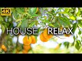 House Relax Mix  Vol.3 🍋  | Music Lounge Bar 2021