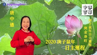 唐中遜 2020 日主運程 (五) 金日主