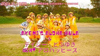 「立川楽市2024」@昭和記念公園 | AKEMI’S ALOHA HULA ＆デイジー☆どぶゆきwithアロハッピーズ  | 2024年11月10日(日)