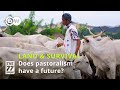 Can pastoralism survive the modern world? | The 77 Percent Full Show