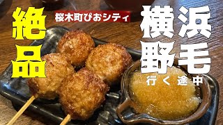 【匠の焼鳥和んず】桜木町ぴおシティ✨絶品焼鳥✨鳥取県産大山鶏使用の焼鳥は絶品でした♪