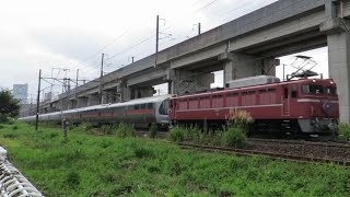 9011レ　カシオペア紀行仙台行き EF81-81+E26系