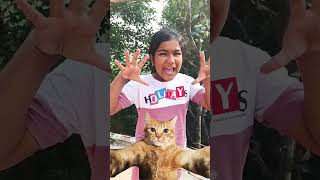 আমার ঘরে থাকো রে বিলাই #funny #comedy #cat #youtubeshorts