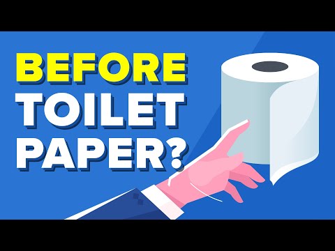 When did people start using toilet paper?