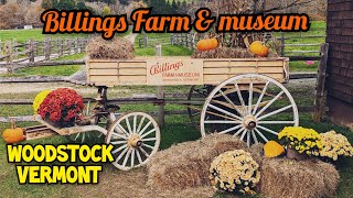 Billings Farm \u0026 Museum 🐄 🍎 Woodstock,Vermont [Jersey cows, Apples, Veggies] #farming #farm #vermont