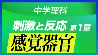 【中学理科】中２生物(16)〜感覚器官〜(刺激と反応第1章)Byユニバープラス