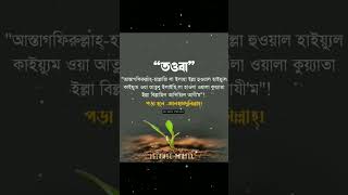 তওবা | তওবার দোয়া 🥀 তওবা পড়া হলে আলহামদুলিল্লাহ  #islamicprayer #islamicstatus #islamicvideo #shorts