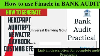 How to generate reports in FINACLE | Finacle कैसे use करें| #bankaudit #audit #Practical_audit