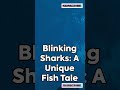 blinking sharks a unique fish tale facts shortsfeed shorts