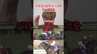 【競馬】京成杯AHに出走するアスコリピチェーノがヤバすぎる#競馬#競馬予想#京成杯AH#アスコリピチェーノ