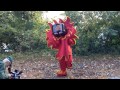 adirondack flames mascot reveal