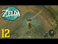 Zelda Tears of the Kingdom Playthrough - Dragon's Tears - Forgotten Temple