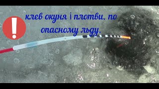 Риболовля в Україні.  Клев окуня і плітки (плотви) на водосховищі.