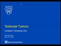 5.19.2020 PedsUroFLO Lecture - Testicular Tumors