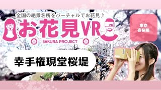 【お花見VR】360動画でエア花見！「東京夜桜編 幸手権現堂桜堤」 Sakura VR