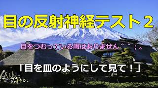 目の反射神経テスト４「真剣になれる」