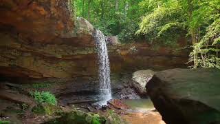 #UP78 Birdsong-Calming-Water Falling Sound Effect | Nature Sounds-Waterfall-Relaxing Meditation