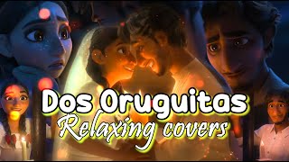 Dos Oruguitas Relaxing Covers | Disney Encanto Song by Lin-Manuel Miranda