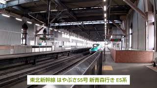 東北新幹線 はやぶさ55号 新青森行き E5系 2022.11.26