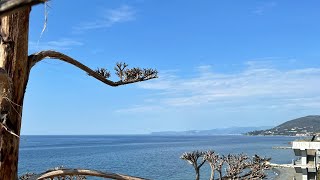 🌊 Marina Grande, Pineta di Arenzano!