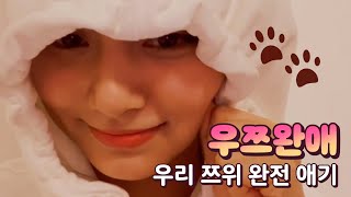 [VLIVE] TWICE - 이쯔쯔하.. 울 쯔 얼굴만 보면 머리에 자동입력이야🐶🐱 (TZUYU talking about her nicknames)