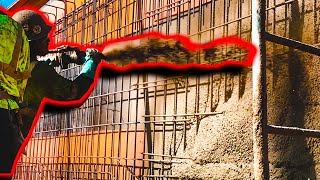 Shooting SHOTCRETE in Slow Motion!