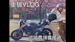 【重機】VLOG#2 ｜CB650R 長途第一發｜武陵農場賞櫻趣