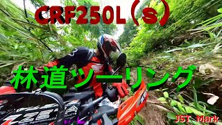 林道ツーリングにCRF250Lで行ってみました⤴【JST　Mark/Moto Vlog】