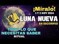 LUNA NUEVA EN ESCORPIO 2024 🌕 1, 2 NOVIEMBRE 🛸😯 LA TRANSFORMACIÓN YA EMPEZO 🪬 SERES DE LUZ