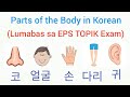 Parts of the Body in Korean | part 1 | Oliquino Tutorial