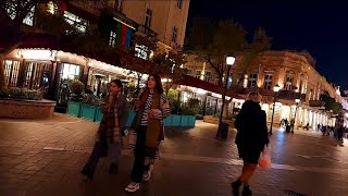 Baku Night life |ബാക്കുവിലെ രാത്രികാല കാഴ്ചകൾ |Street walk at night|#baku #nightlife #azerbaijan  #5